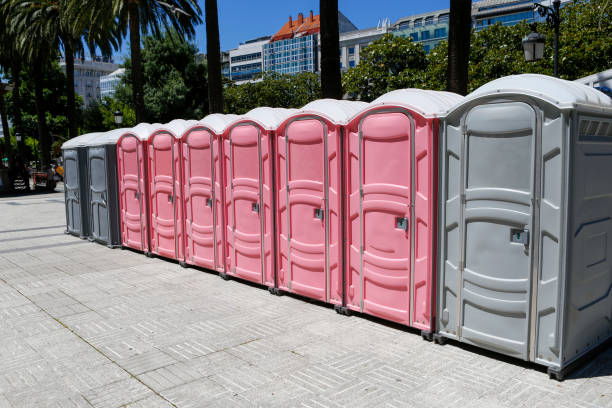 Best Portable Restroom Servicing (Cleaning and Restocking)  in Hayfield, VA