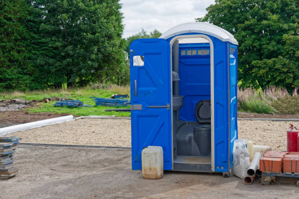 Best Portable Toilets with Baby Changing Stations  in Hayfield, VA